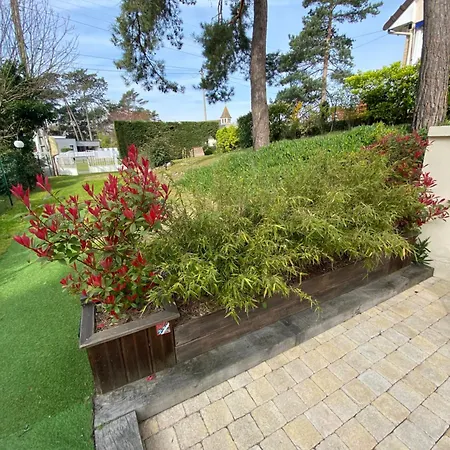 Apartament Dune Et Terrasse