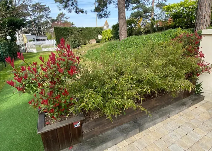 Апартаменты Dune Et Terrasse